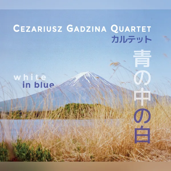 WHITE IN BLUE / 青の中の白 ジャケット